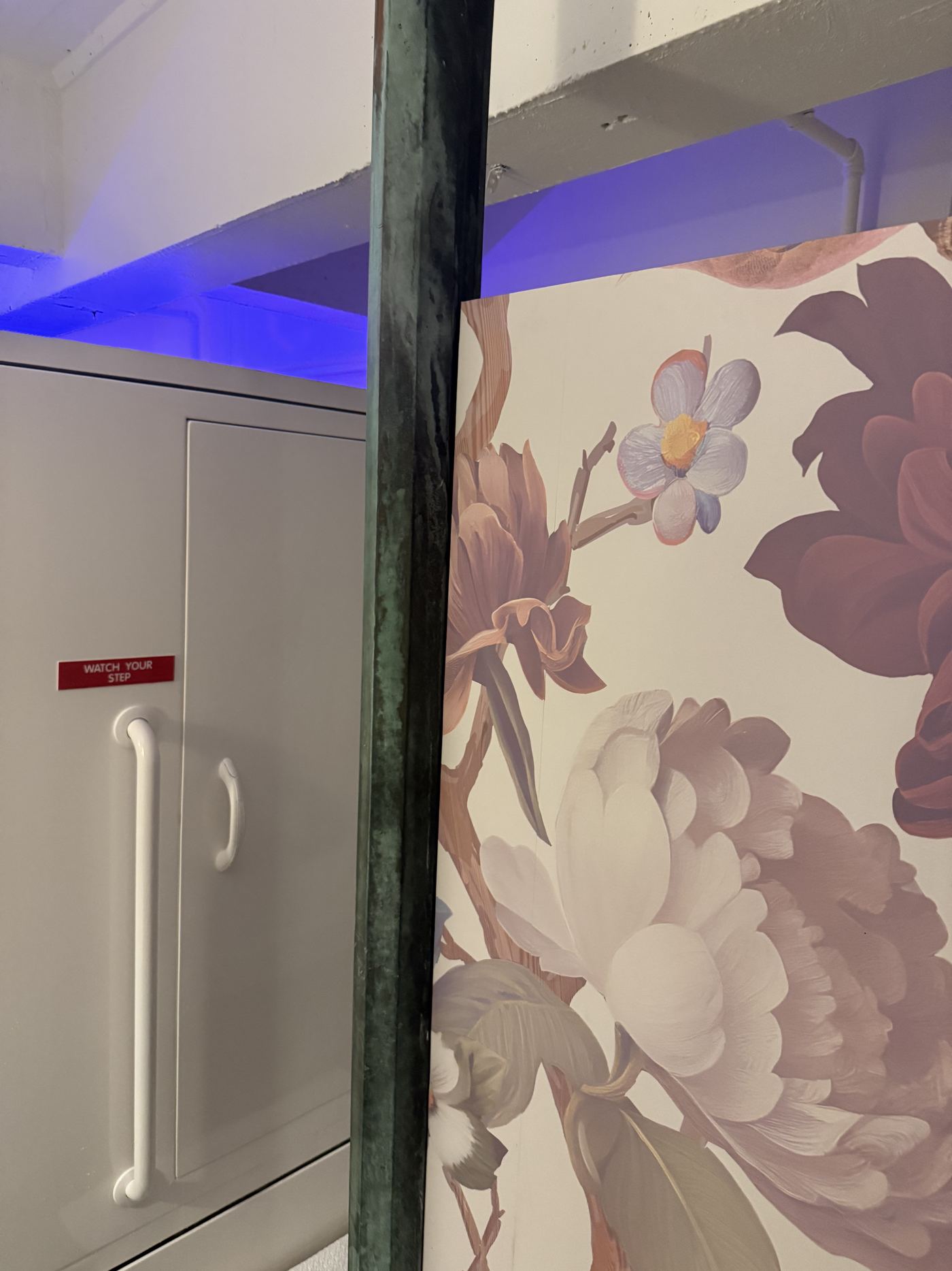 A float tank beside the floral mural